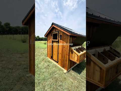 Little Homestead Coop